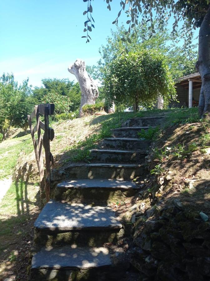 Apartamentos Rio Eo San Tirso de Abres ภายนอก รูปภาพ
