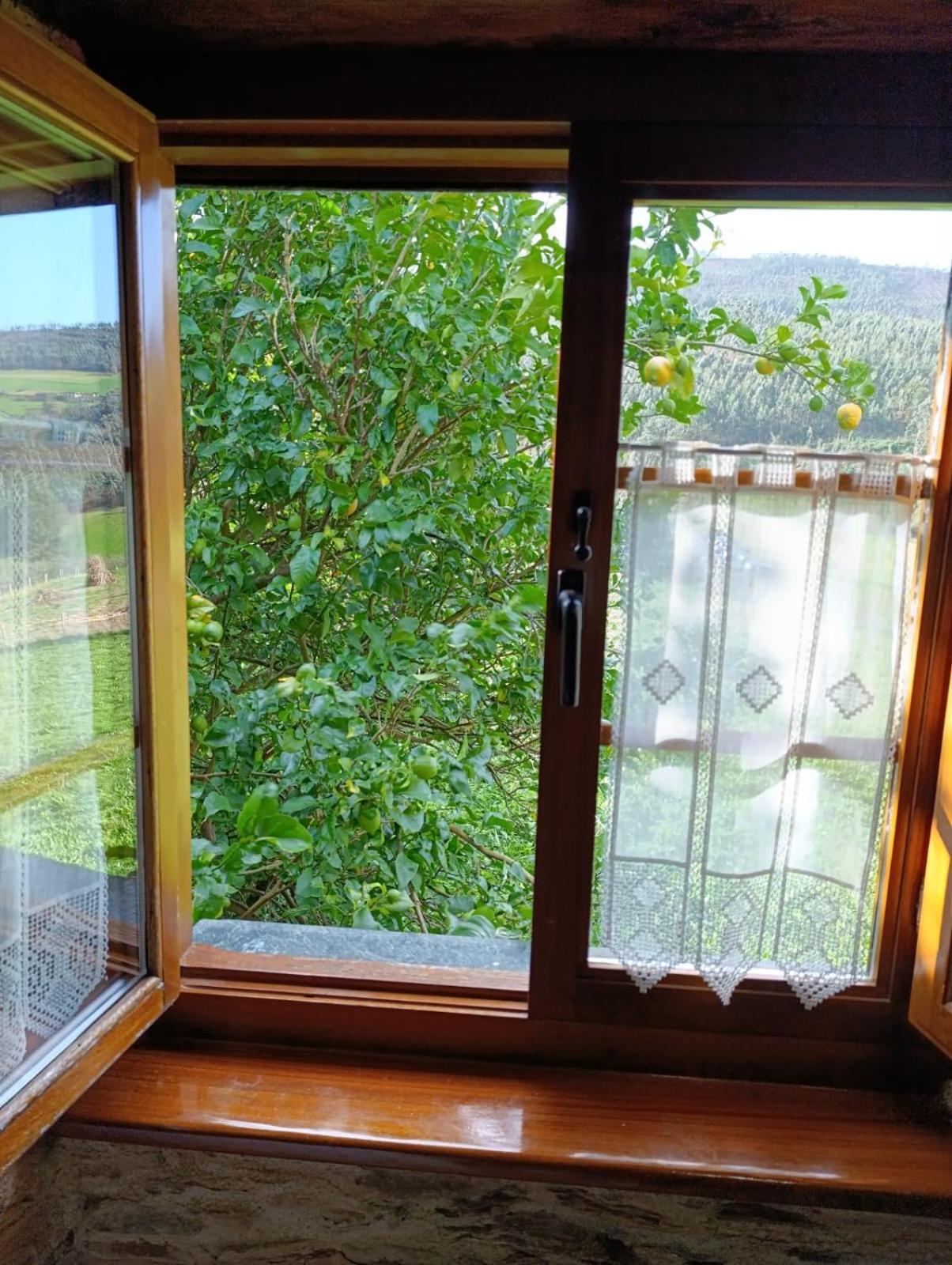 Apartamentos Rio Eo San Tirso de Abres ภายนอก รูปภาพ